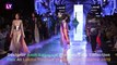 Lakme Fashion Week 2019: Hardik Pandya And Lisa Haydon Set The Ramp On Fire