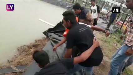 Gujarat: Forest Department Rescues Baby Crocodile From Artificial Pond In Vadodara