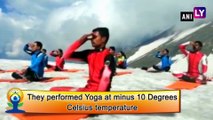 International Day of Yoga 2019: ITBP Personnel Perform Yoga in Himachal Pradesh & Sikkim