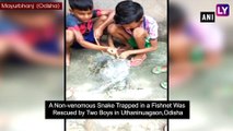 Fearless Children Rescue A Snake Trapped in Fishnet In Odisha, Their Compassion Earns Them Praise