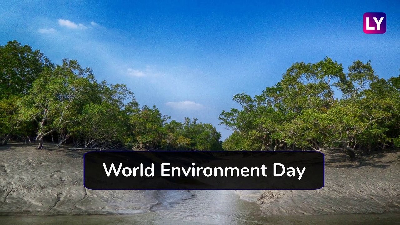 World Environment Day: Environment Ministry Launches Song ‘Hawa Aane De To Spread Awareness On Air Pollution