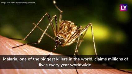 First Malaria Vaccine RTS,S Launched | Important Facts to Know