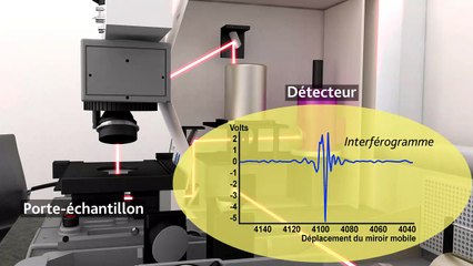 La ligne de lumière SMIS