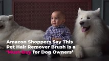 Amazon Shoppers Say This Pet Hair Remover Brush Is a ‘Must-Buy for Dog Owners’
