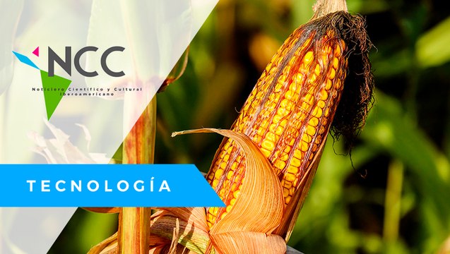 Agro­bio­tec­no­lo­gía; la cien­cia que bus­ca la adap­ta­ción y re­sis­ten­cia de cul­ti­vos