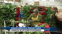 Las rosas ecuatorianas ingresarán a los Estados Unidos sin pagar aranceles