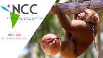 Noticiero Científico y Cultural Iberoamericano, emisión 288. 09 al 15 de Noviembre 2020