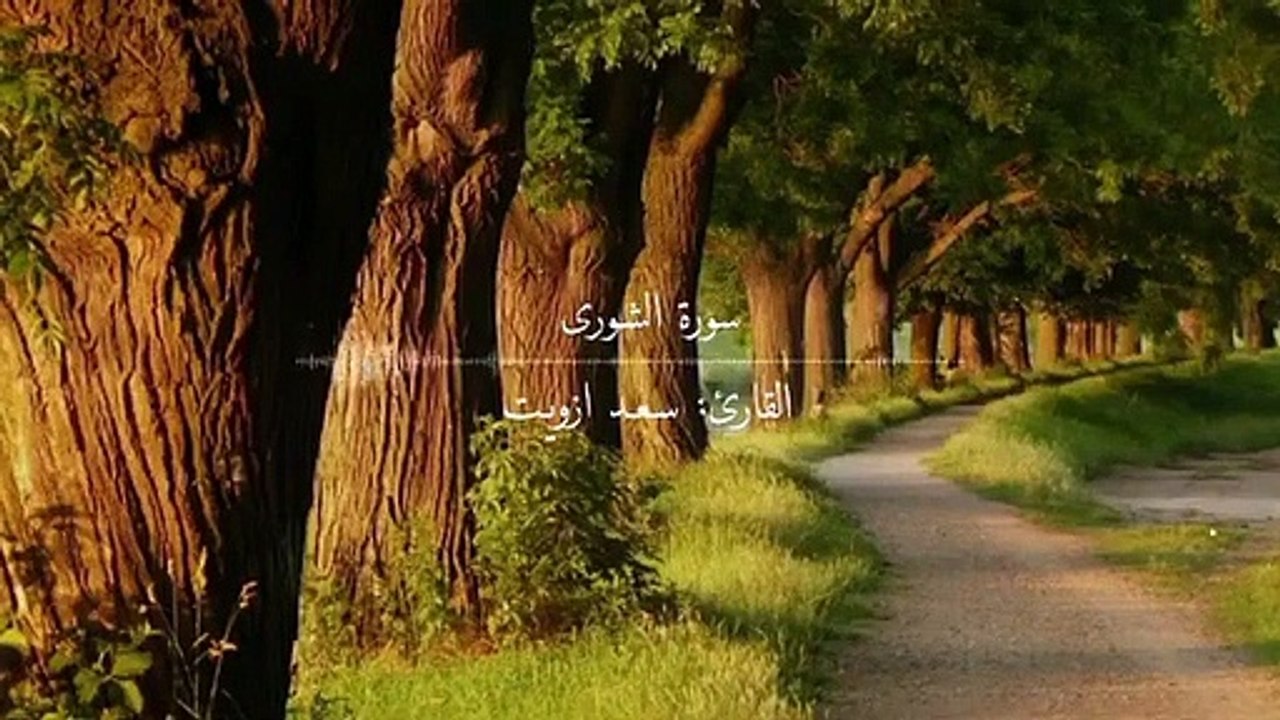 مقطع قران--تلاوة هادئة ♡ ارح قلبك -- حالات واتس اب _ ستوريات قرآن _ حالات قرانية للواتس اب(360P)_1