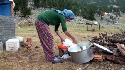 Binlerce Keçi Çobanların Nezaretinde Günlerce Süren Yolculukla Aşağı İniyor