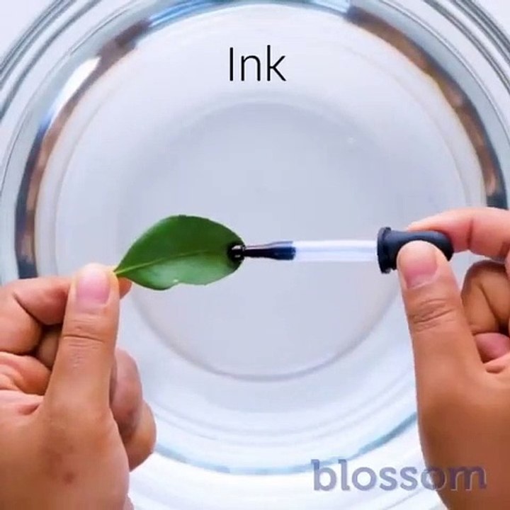 Do it YourSelf Videos 192