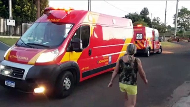 Cachorro atravessa a via bruscamente e duas pessoas ficam feridas em queda de moto no Floresta