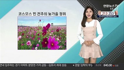 [날씨톡톡] 코스모스 피어 있는 길…낮부터 추위 풀려