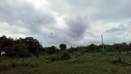 VID-20201025-WA0001