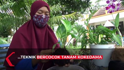 Percantik Tanaman Hias dengan Kokedama Sabut Kelapa