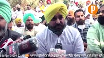 Bhagwant Mann Big Shout On Captain Amarinder Singh Protest at at Jantar Mantar in Delhi - Must Watch