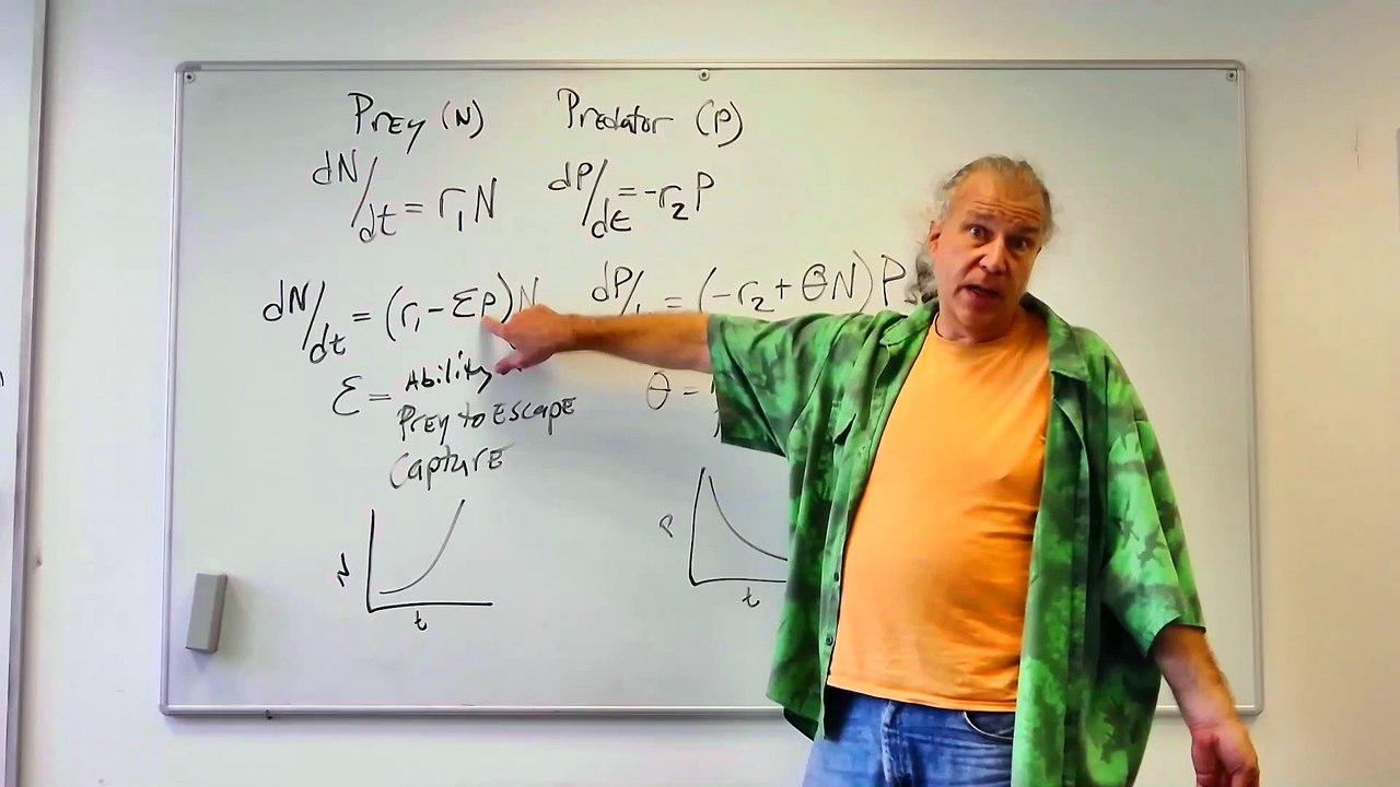 Fundamentals of Ecology 11: Classic Predation Models