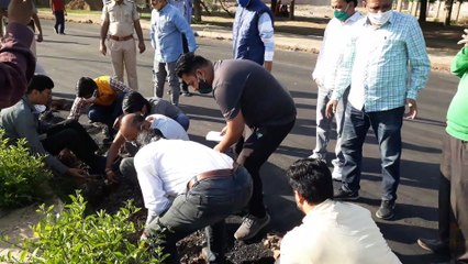 उम्मेद गार्डन की सूरत सुधारने के लिए हुआ श्रमदान व पौधरोपण