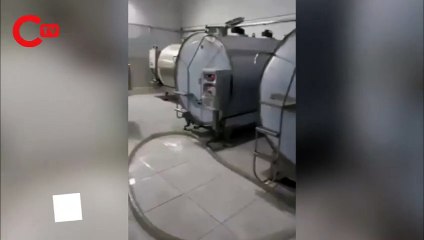 Süt banyosu kamerada