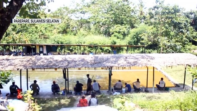 Begini Jadinya Lomba Mancing Kodim 1405 Dengan Protokol Kesehatan