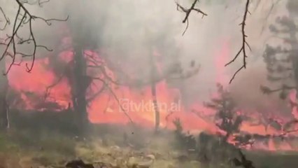 Zjarr i fuqishem ne Malin e Koshnices