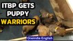 ITBP gets 17 new puppy warriors: Why are Malinois sought after? | Oneindia News