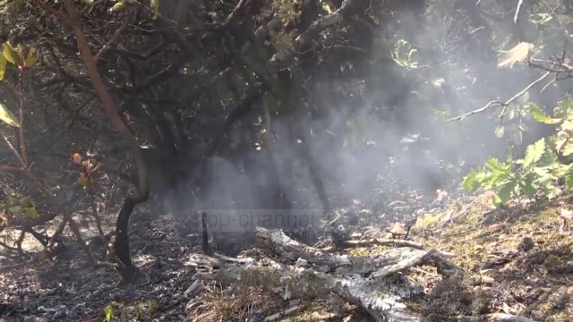 Pyjet e Mirditës janë në flakë/ Era dhe terreni vështirësojnë ndërhyrjen nga ajri dhe toka