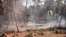 Report TV -Zjarri vijon të përfshijë sipërfaqe me pisha në Seman, priten përforcime nga ushtria