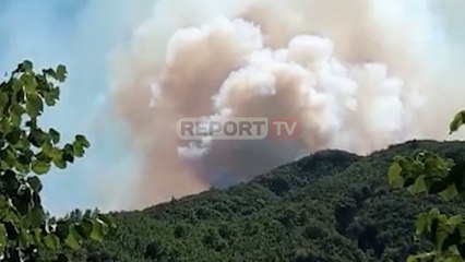 Vijojnë vatrat e zjarrit në Gramsh, Seman dhe në Rubik, priten përforcime nga ushtria