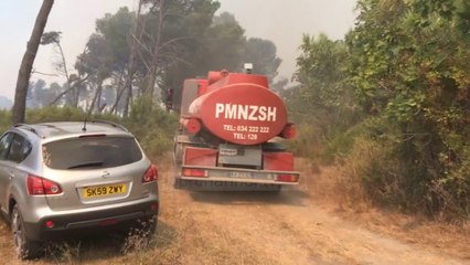 Top News - Vijojnë vatrat e zjarrit/ Seman, pylli me pisha në flakë