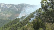 Top News - Situata e zjarreve/ Drejtori i AKMC-të qëllimshme