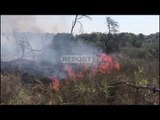 Vijojnë prej 5 ditësh flakët e zjarrit në pyllin e Semanit, ndërhyjnë edhe forcat e ushtrisë