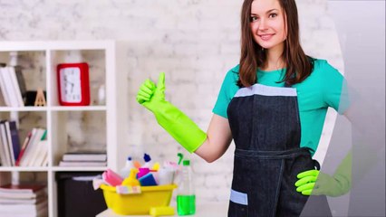 Elsie's Cleaning Service LLC