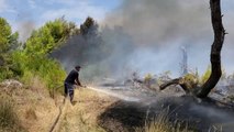 Pyjet në flakë në Veri dhe Jug/ 140 hektarë pyje me pisha janë djegur në Seman