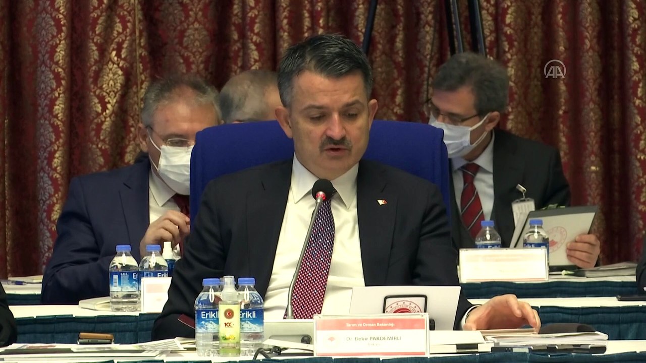 Pakdemirli: '2020 yılı yaş çay alım kampanyasında 752 bin ton yaş çay alımı yapılmıştır ' - TBMM