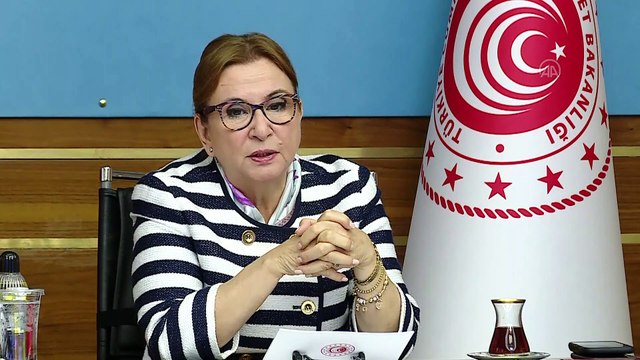 Bakan Pekcan: 'Ülkemizi, ekonomik olarak hak ettiği daha üst seviyelere hep birlikte taşıyacağız' - ANKARA