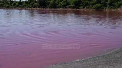 Top News - Liqeni bëhet rozë/ Paraguai, ndoshta nga kimikatet - Pa komente