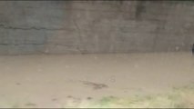 Ora News - Shiu përmbyt Elbasanin, probleme në akset rrugore dhe lagjen NShU