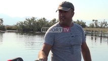 Gaforret blu pushtojnë ujërat shqiptarë, kërcënojnë biznesin e peshkimit: Krijesat dëmtojnë rrjetat