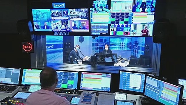 Pourquoi le Danemark veut tuer des millions de visons ?