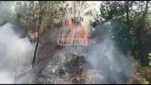 Zjarr i qëllimshëm në 'Kodrën e Dervinëve' në Krujë, digjen mbi 6 hektar kullotë e pyje