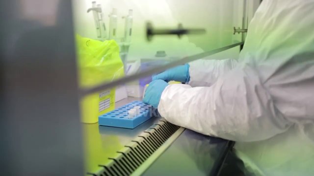 Mjeket: Kur virusi zbret ne mushkeri nuk kapet nga tamponi | Lajme-News