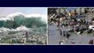 World #TSUNAMI Awareness Day 2020: ఇండోనేషియా సునామీ 23 వేల ఆటంబాంబుల పేలుళ్లతో సమానం...!!