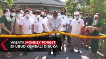 Wisata Monkey Forest di Ubud Kembali Dibuka