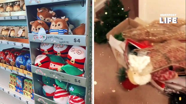 Pour égayer leur confinement, leur sapin de Noël est déjà de sortie