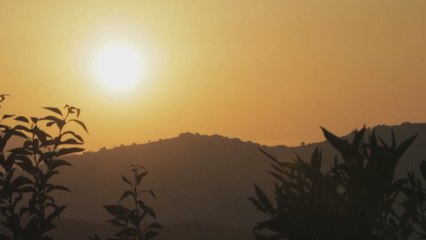 Një ekskursion në tokën e agrumeve, Turi i Mandarinave/ Hotel dy Kitarrat, Durrës - Pushime On Top 3