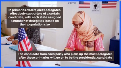 US Election - How does the US voting system work?