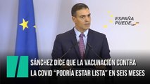 Sánchez dice que la campaña de vacunación contra la covid-19 “podría estar lista” en seis meses