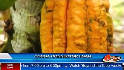 Cocoa Connector Loan