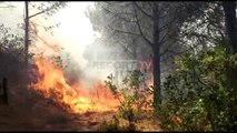 Report TV -Merr përmasa të mëdha zjarri në Fier, flakët depërtojnë deri në Drenie
