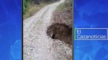 El Cazanoticias: un cráter enorme se ubicó en la mitad de la vía en Mariquita, Tolima